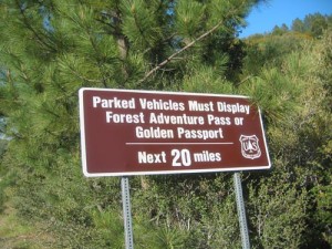 forest_adventure_pass